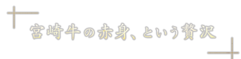 宮崎牛の赤身という贅沢