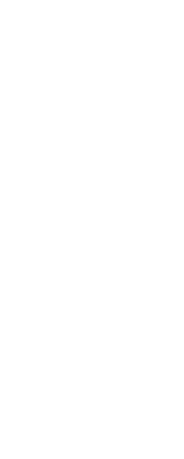 赤身の旨味を存分に