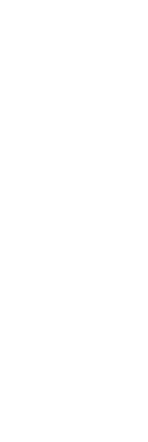 贅を尽くした 珠玉の逸品の数々